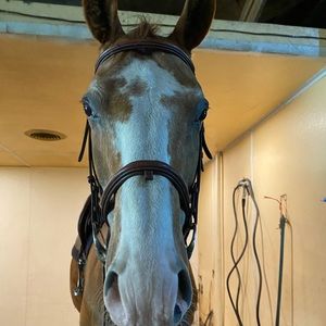 Meet your Posher, Maya